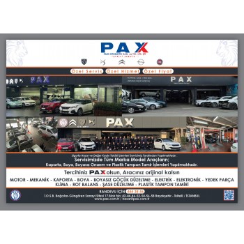 Peugeot 3008 P84 Arka Torsiyon  9833974980